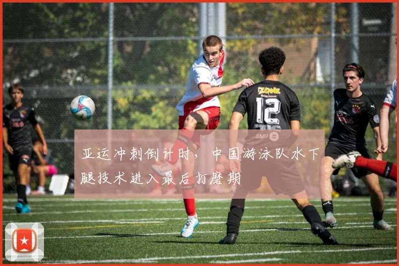 亚运冲刺倒计时，中国游泳队水下腿技术进入最后打磨期