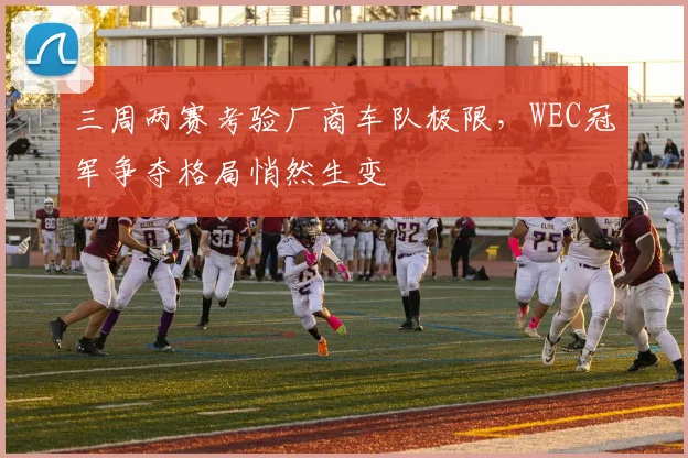 三周两赛考验厂商车队极限，WEC冠军争夺格局悄然生变
